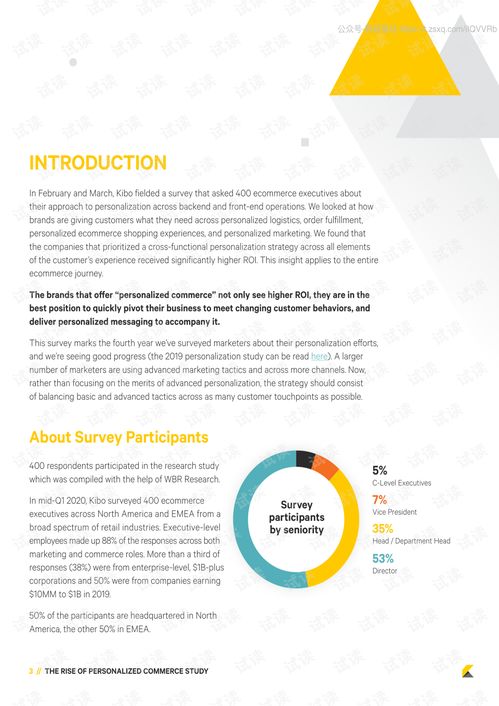 kibo 電子商務(wù)個性化營銷調(diào)查 英文 2020.5 11頁精品報告.pdf